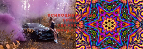 прущие грибы Новодвинск