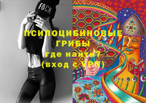 кокс Вяземский