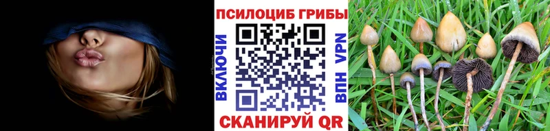 Псилоцибиновые грибы Magic Shrooms  mega как зайти  Вилюйск 